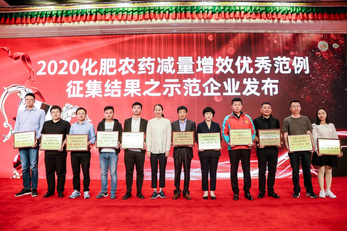 图片1 “示范企业”获奖合照 mg冰球突破副总裁包雪梅领奖左四.jpg