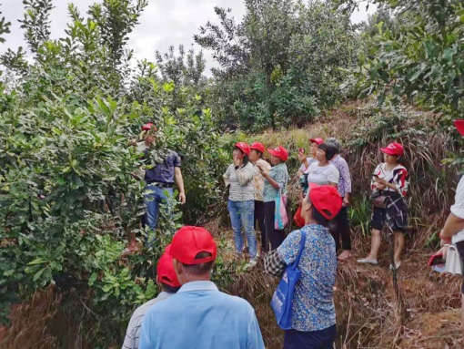 图2-2，园区观摩和果农们拍照学习_副本.jpg