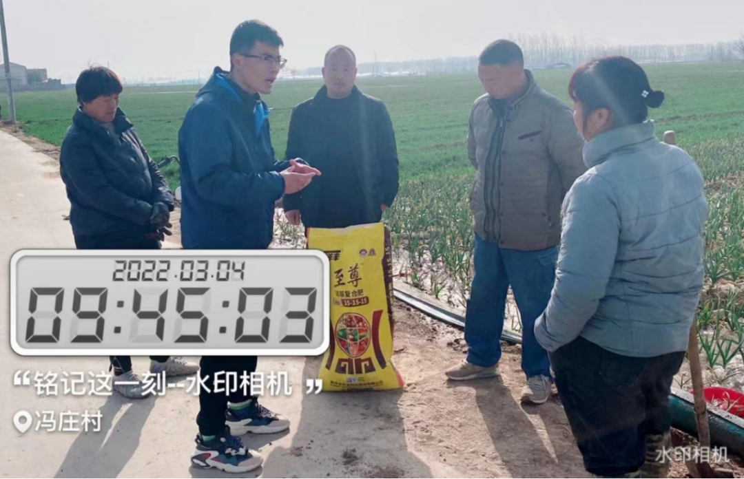 3月4日，跟踪布置洋丰至尊示范田块.jpg